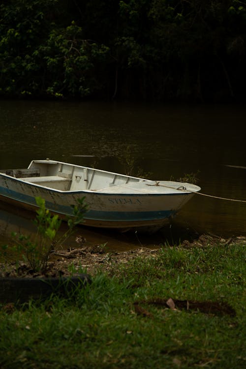 Small Boat Moored to the Riverbank