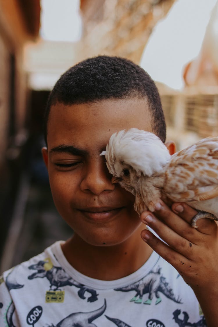 Child Holding A Small Padovana Chicken