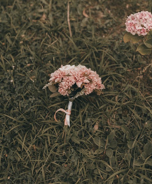 Bouquet of Pink Flowers Lying on the Grass