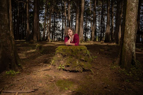 Gratis stockfoto met aantrekkelijk mooi, aantrekkingskracht, Bos