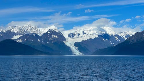 Immagine gratuita di alaska, fiordo universitario, ghiacciaio