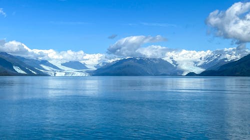 Fotobanka s bezplatnými fotkami na tému Aljaška, harvardský ľadovec, ľadovec yale