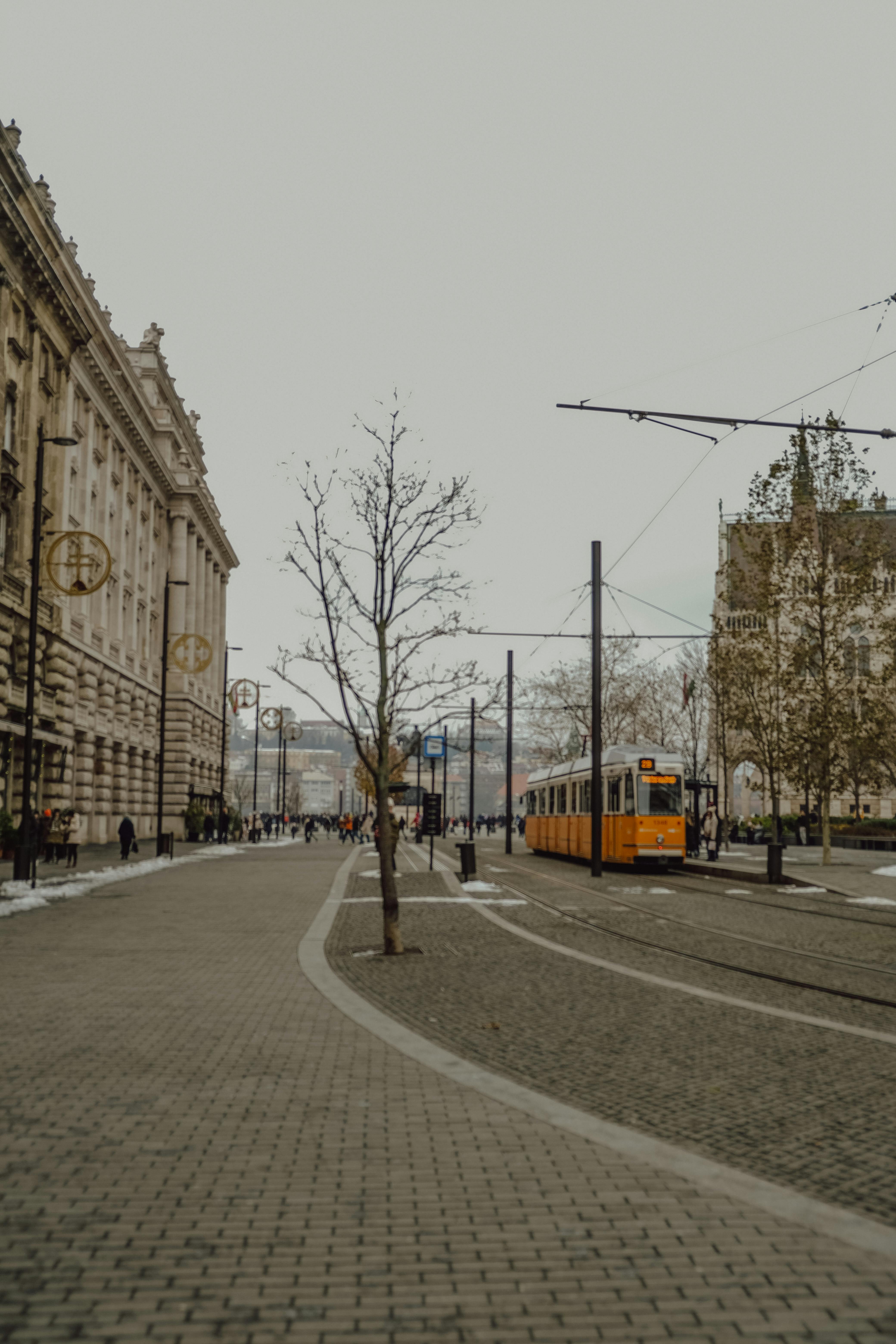 Tram on Street · Free Stock Photo