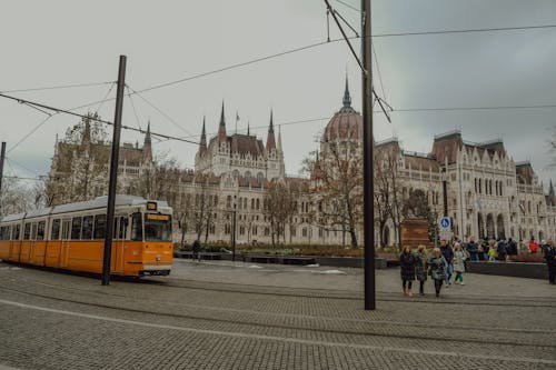 Imagine de stoc gratuită din arbore, exterior de clădire, localitate