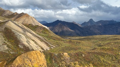 Безкоштовне стокове фото на тему «denali, Аляска, гори Аляски»