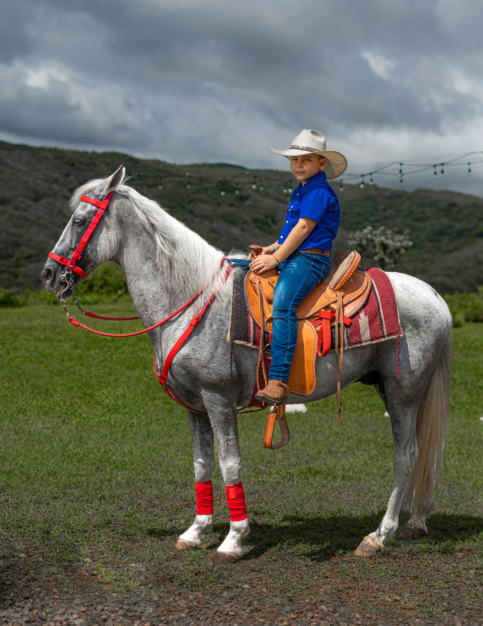 Boy Sitting Naked On A Horse Photos, Download The BEST Free Boy Sitting ...