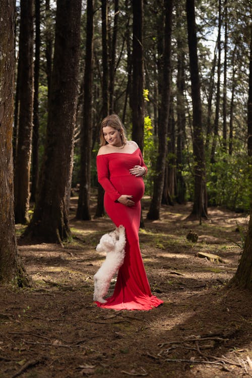 Pregnant Woman In A Red Dress Posing In A Forest With Her Dog Free Pregnant Woman In A Red Dress Posing In A Forest With Her Dog Free