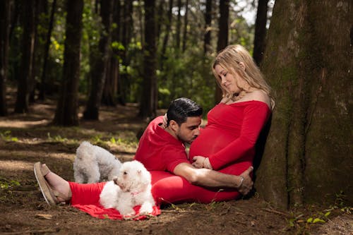 Fotobanka s bezplatnými fotkami na tému bichon frize, blízky, blondína