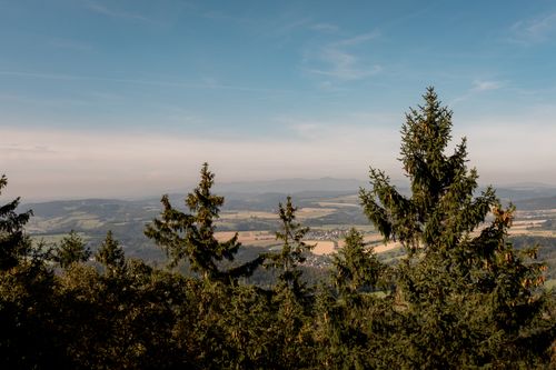 Free Serene view of a rural valley surrounded by coniferous trees under a clear blue sky. Stock Photo