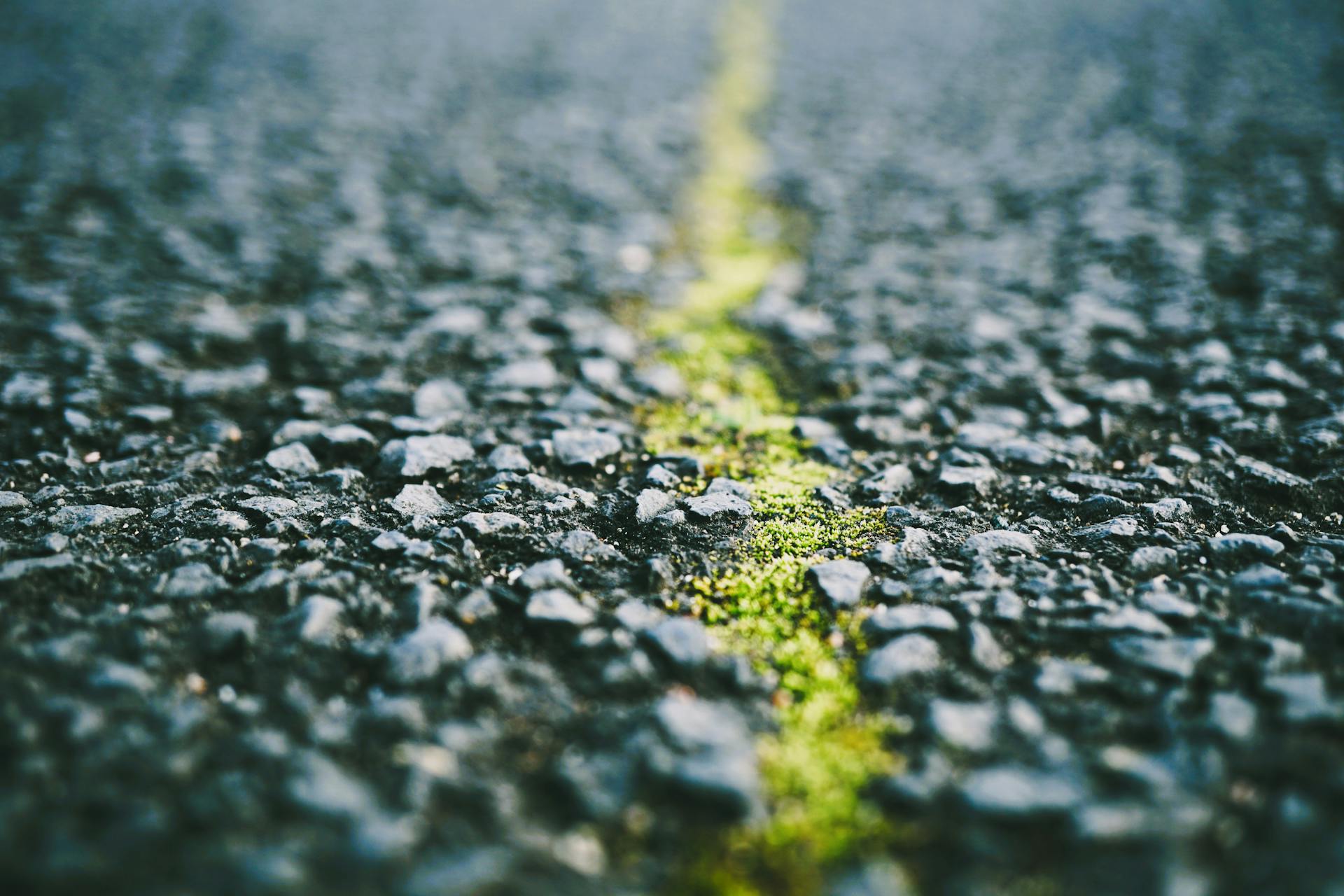 Detailed texture of asphalt with a vibrant green moss line running through, creating a contrasting visual.