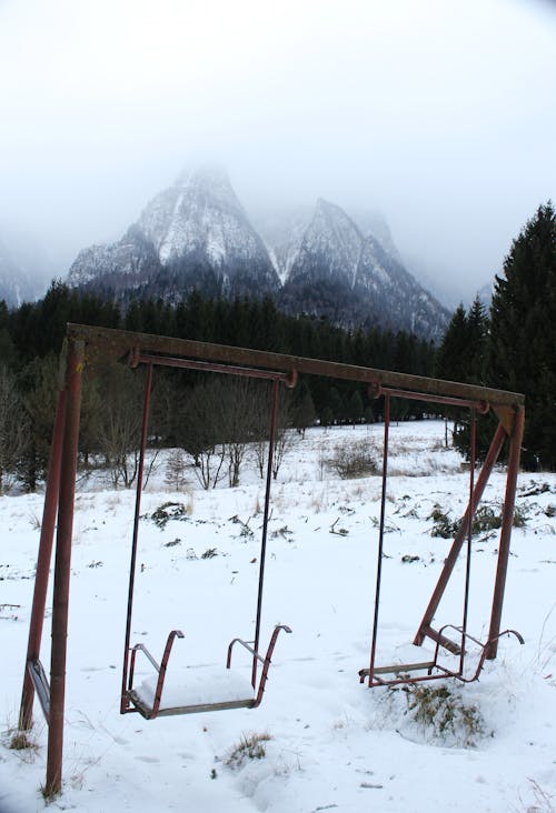 Immagine gratuita di abbandonato, abete, alberi coperti di neve