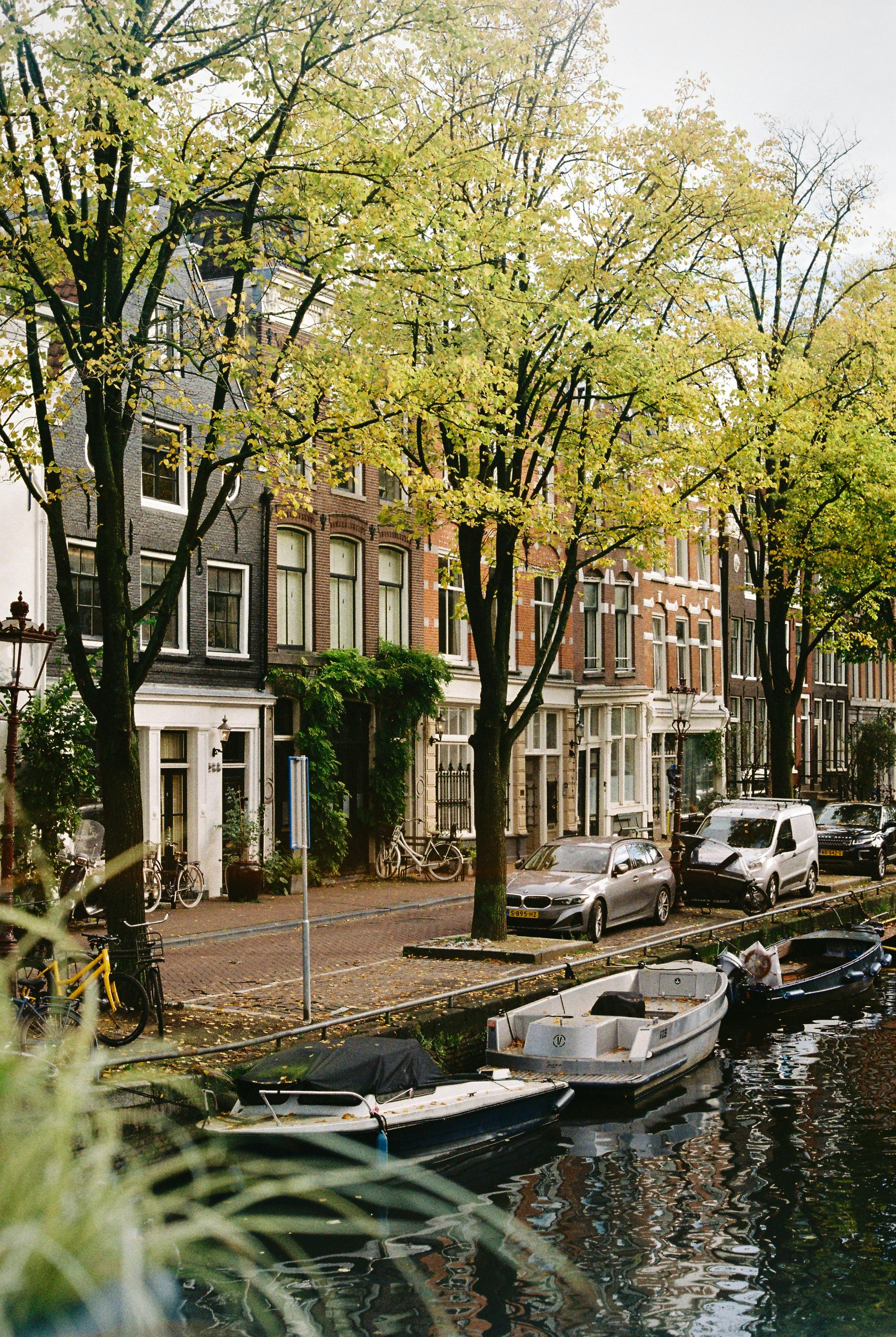 Charming Amsterdam street by the canal with parked cars and trees in summer.