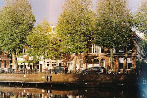 People Walking on Street near Canal on Sunny Day