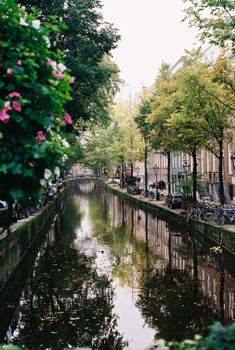 Serene Amsterdam canal scene with lush trees and reflections, capturing urban greenery.