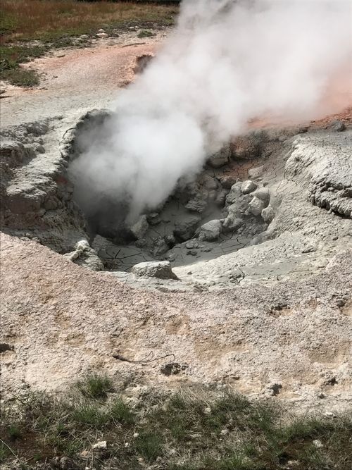 Free Steaming geyser in Yellowstone showcasing geothermal activity and natural beauty. Stock Photo