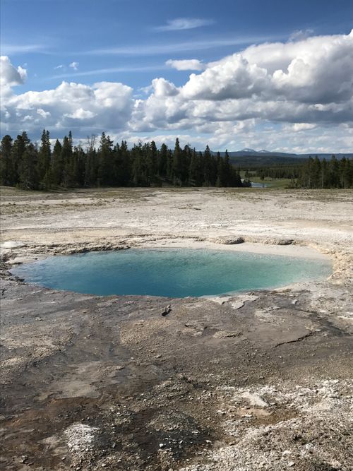 Free Scenic view of a vibrant blue geyser pool surrounded by forest in Yellowstone National Park. Stock Photo