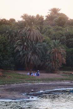 A serene scene of people gathered by the Nile River under lush palm trees in Luxor, Egypt.