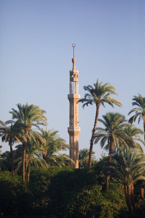 A tall tower with a clock on top of a palm tree