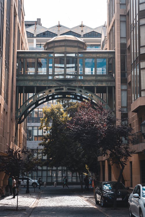 Foto d'estoc gratuïta de arbres, carrer, carrers de la ciutat