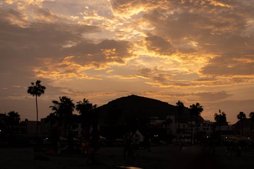 Palm Trees and Town Building in Darkness at Sunset