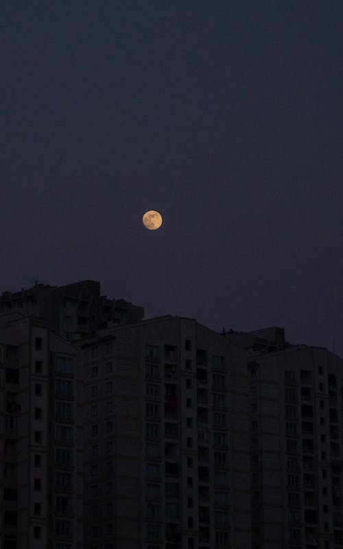 Free The moon is seen in the sky over buildings Stock Photo