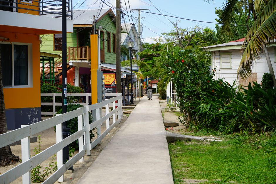 Picturesque walkway lined with colorful houses in Placencia, Belize. Lush foliage creates a tropical vibe.