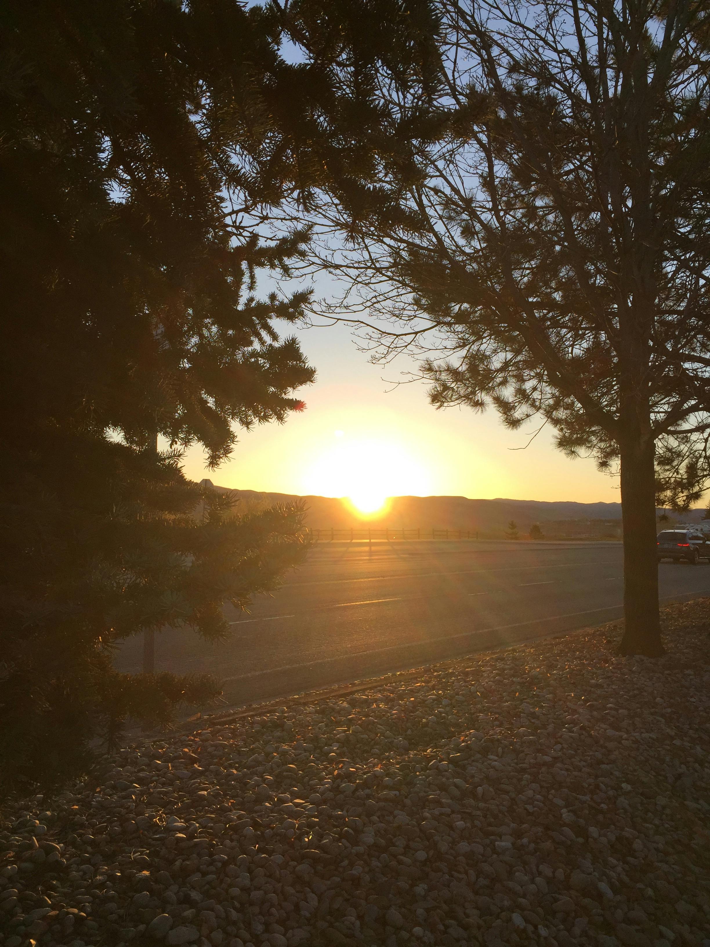 Free stock photo of light, morning sun, ray of sunshine
