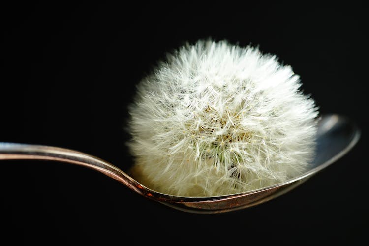 Dandelion On Spoon