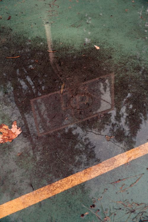 Free stock photo of reflection, sony Stock Photo
