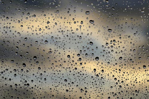 Free Raindrops on a Window  Stock Photo