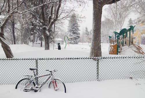 Foto d'estoc gratuïta de bici, hivern, neu
