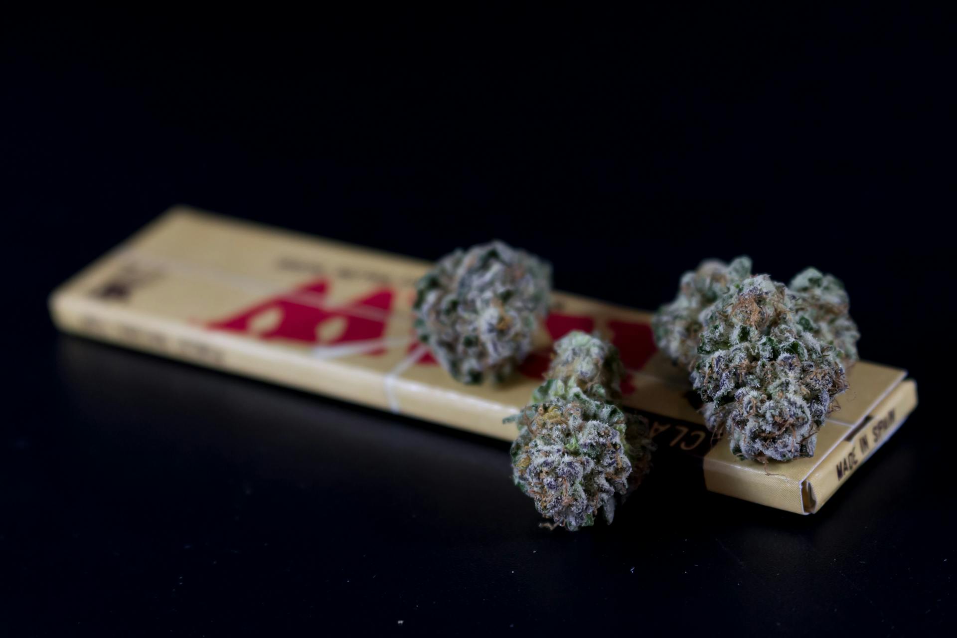 Macro shot of cannabis buds on rolling paper against a dark background.