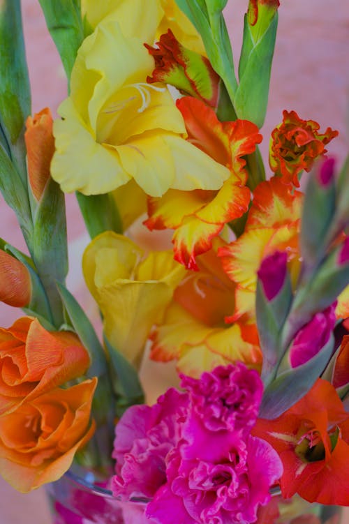 一束鮮花, 作文, 創建 的 免費圖庫相片