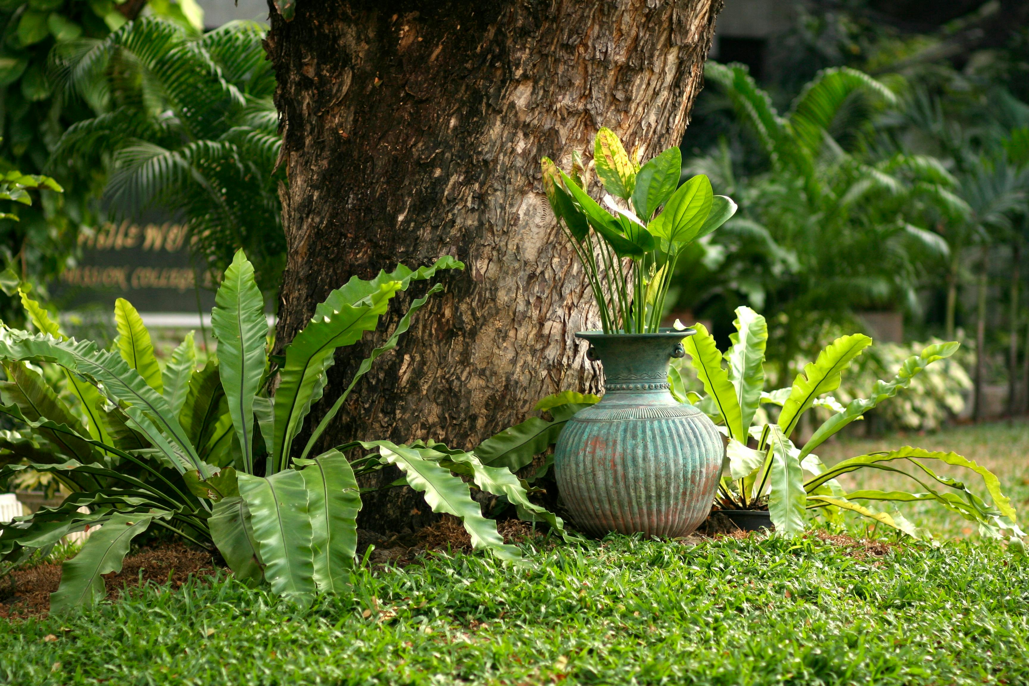 A Landscape Designer’s Favorite Gardening Tools — Photo by wutthichai charoenburi on Pexels