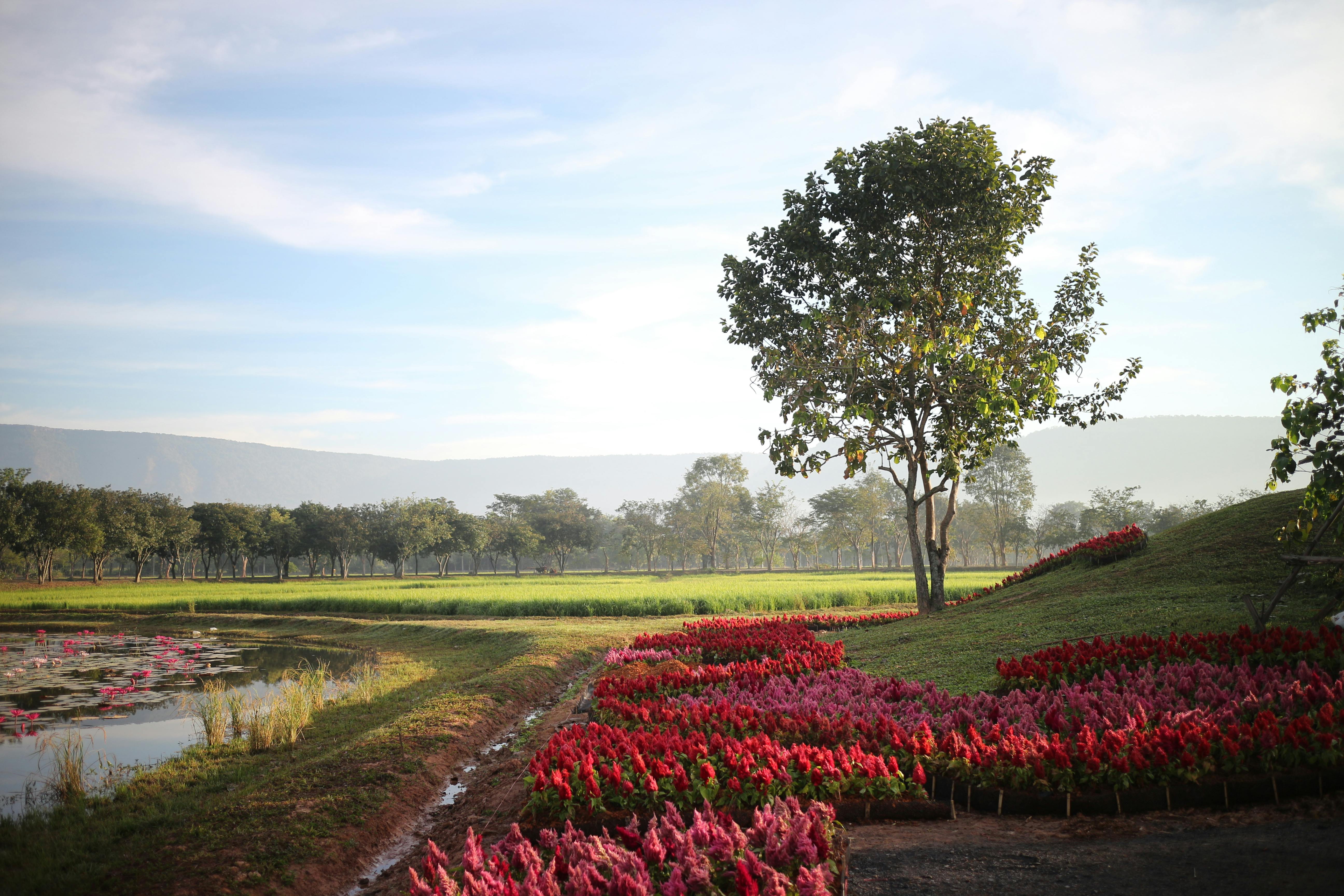 Nakhon Nayok
