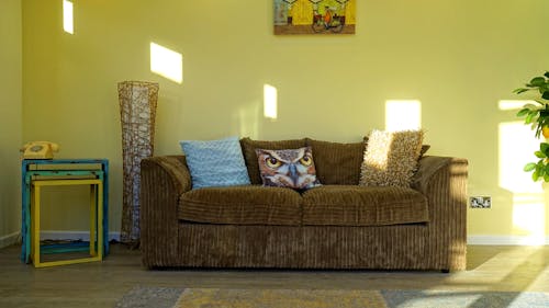Free Brown Corduroy 2-seat Sofa Beside Leafed Plant Stock Photo