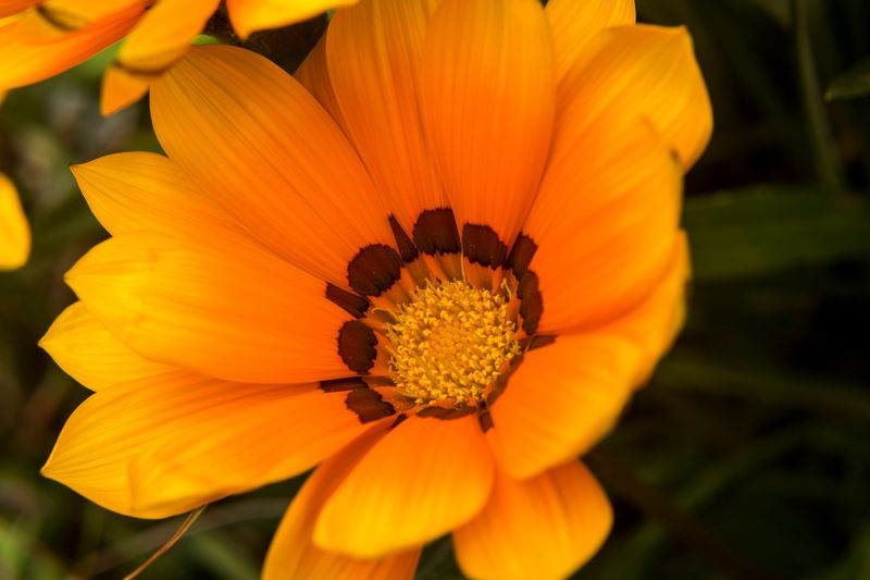 How to Reduce Image File Size: 10 Methods That Work