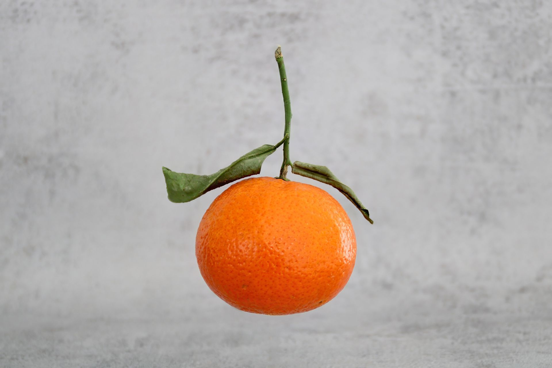 Close-up of a fresh mandarin orange with leaves on a gray background.