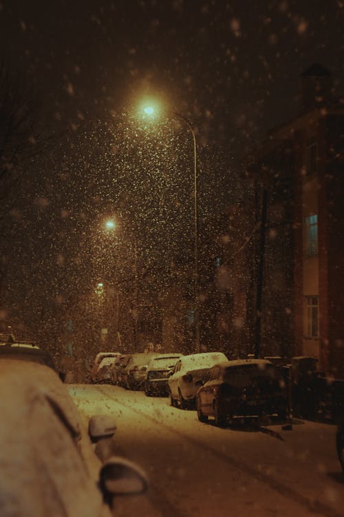 Snowfall over Street at Night