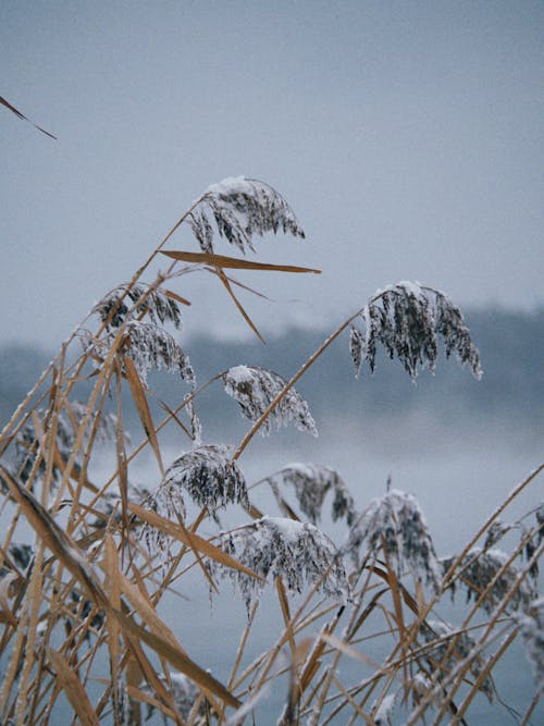 Photos gratuites de centrales, fermer, froid