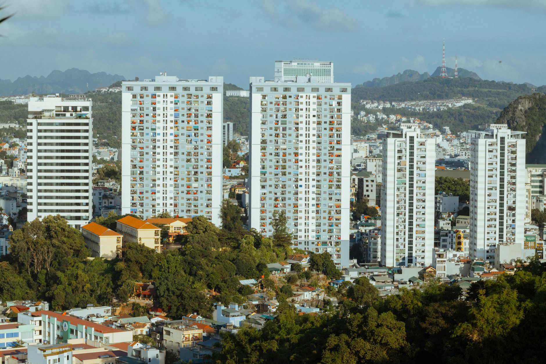 Đất khai hoang năm 2026: 5 trường hợp bị thu hồi và quyền lợi được bồi thường Đất khai hoang năm 2026: 5 trường hợp bị thu hồi và quyền lợi được bồi thường
