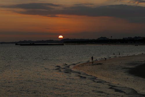 คลังภาพถ่ายฟรี ของ คน, ความสงบ, ชายหาด