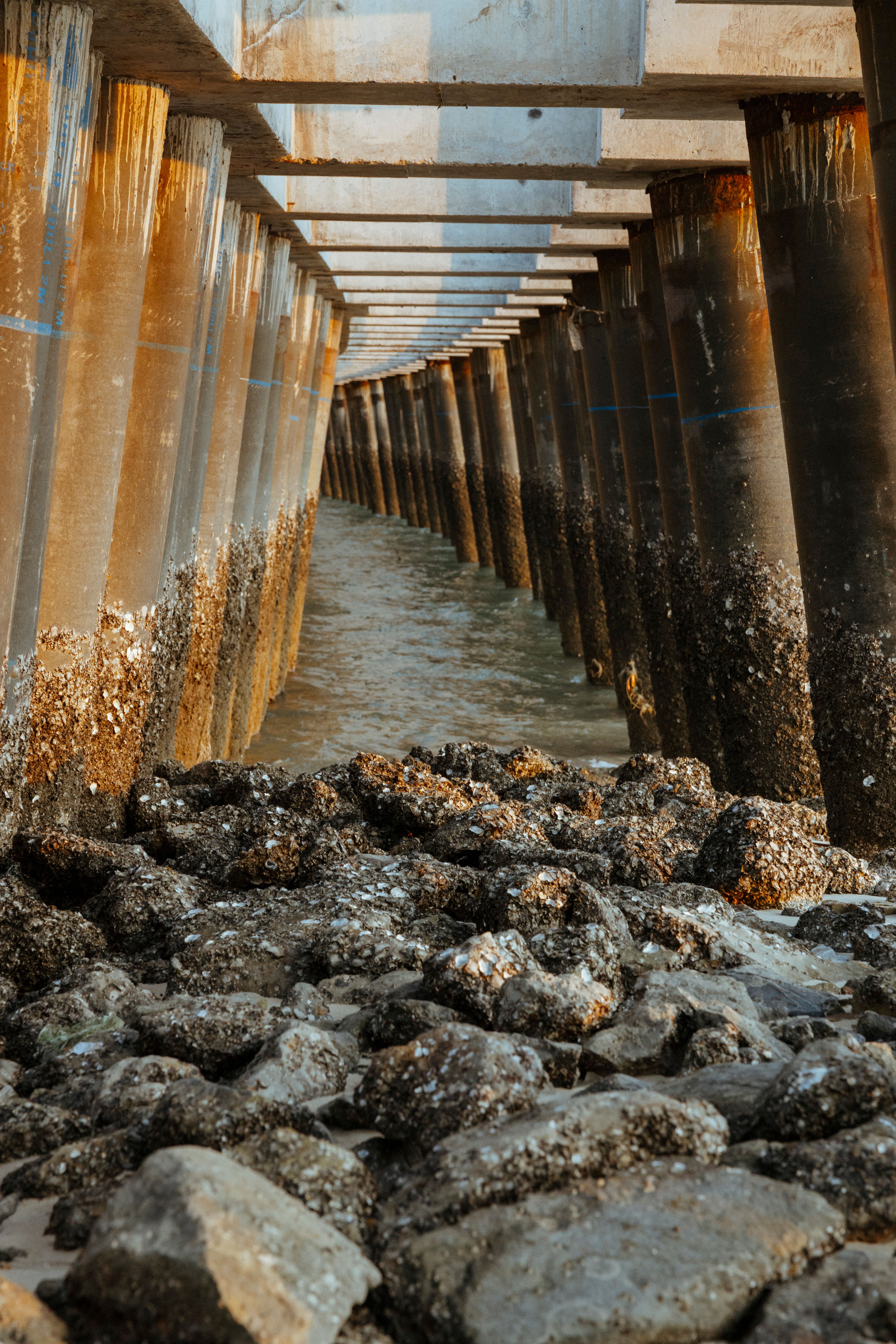 Underside of a Coastal Bridge · Free Stock Photo