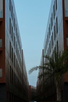 Symmetrical urban buildings with a palm tree under a clear blue sky, creating a modern architectural scene.