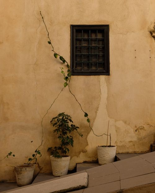 Free Street scene featuring potted plants against a textured wall with a small window. Stock Photo