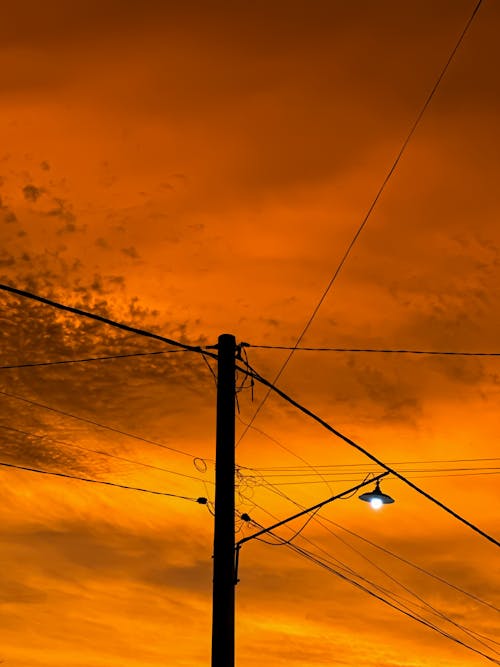 Бесплатное стоковое фото с вертикальный выстрел, закат, золотистый