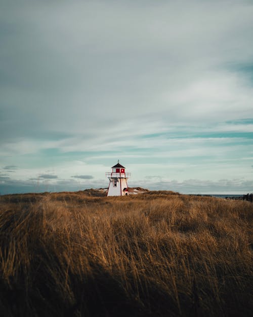 Windmill on a Field 