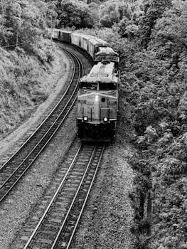 A black and white aerial shot of a freight train moving through a lush forest landscape.