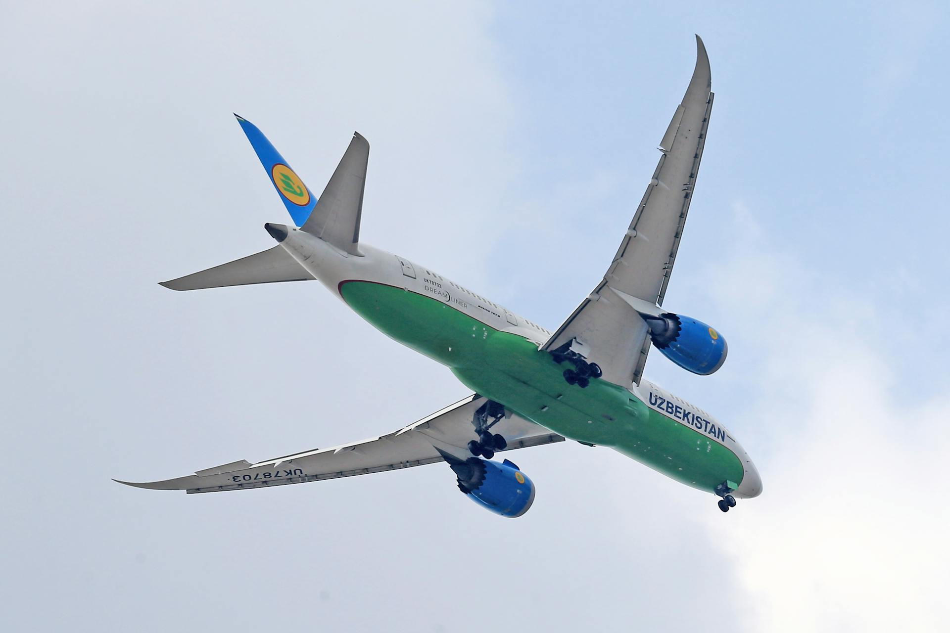 Bottom of the Airliner with Extended Landing Gear