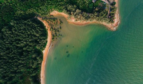 Free Stunning aerial shot of a tropical beach with lush greenery in Chukai, Terengganu. Stock Photo